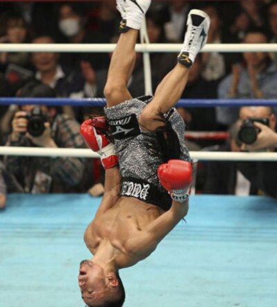Upside Down Boxer